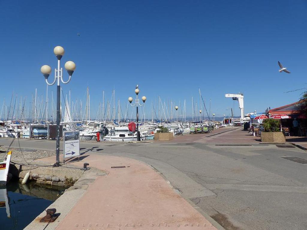 183 ILE DE PORQUEROLLES -4_000010.jpg